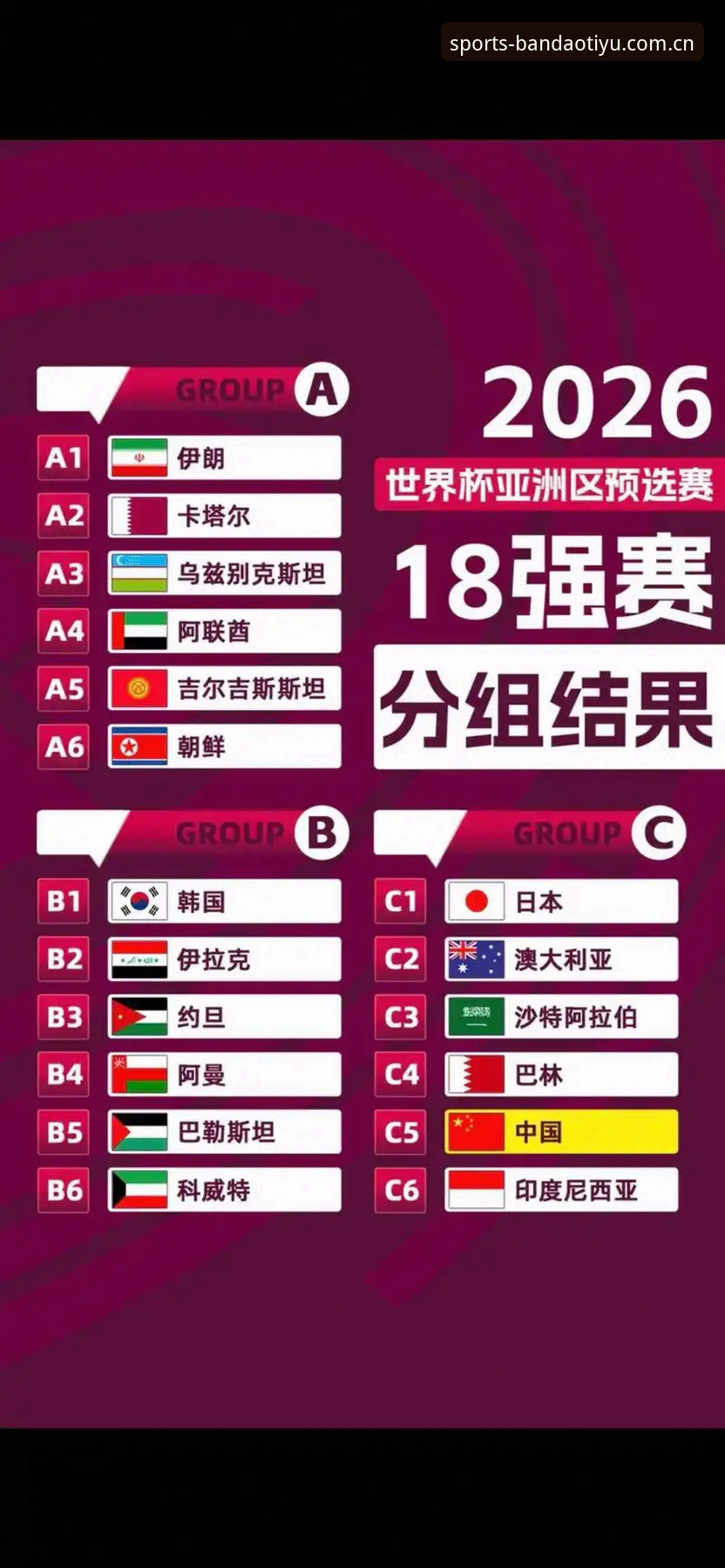 U17世界杯抽签结果揭晓，中国男女足分组形势引发关注——半岛体育平台赛事数据解读最新动态